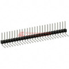 PTC26SGBN Image